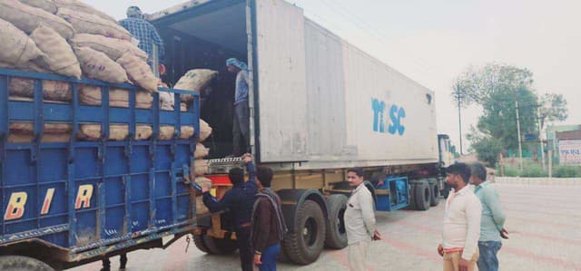 Potato Distribution