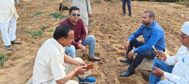 Potato Distribution