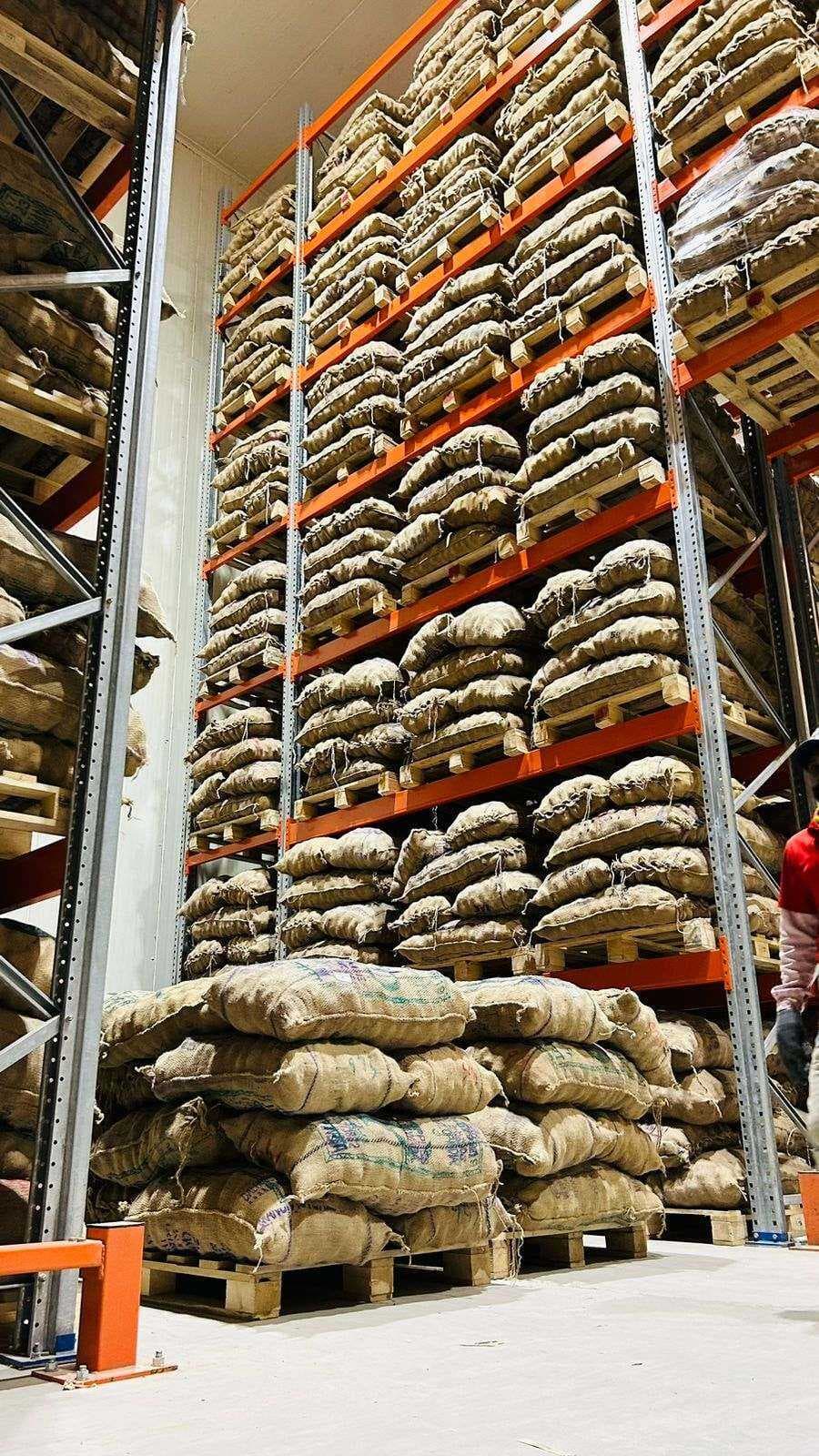 Cold storage chamber preserving potatoes in optimal conditions
