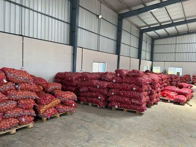 Packed for Export