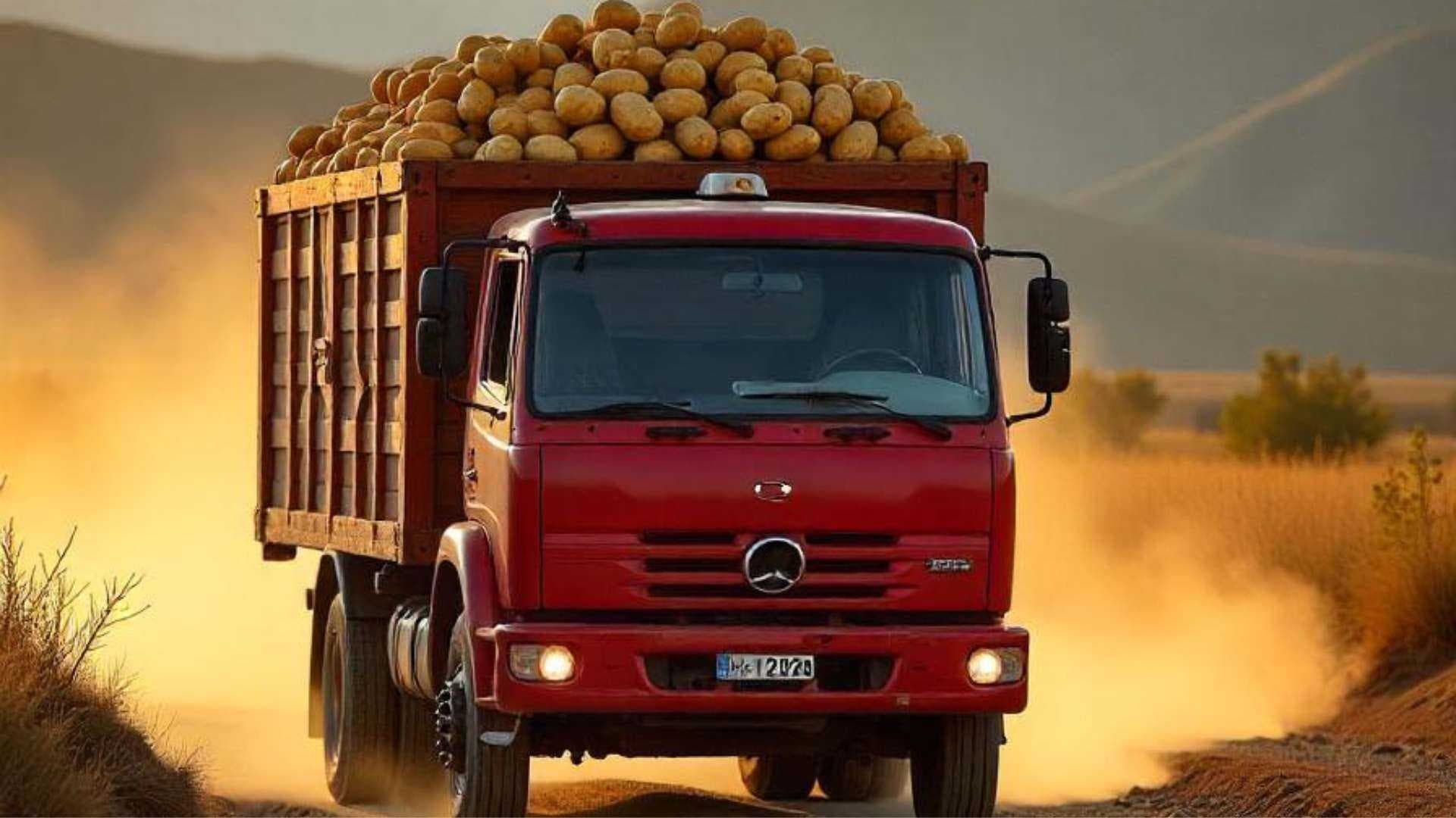 Logistics & Transportation