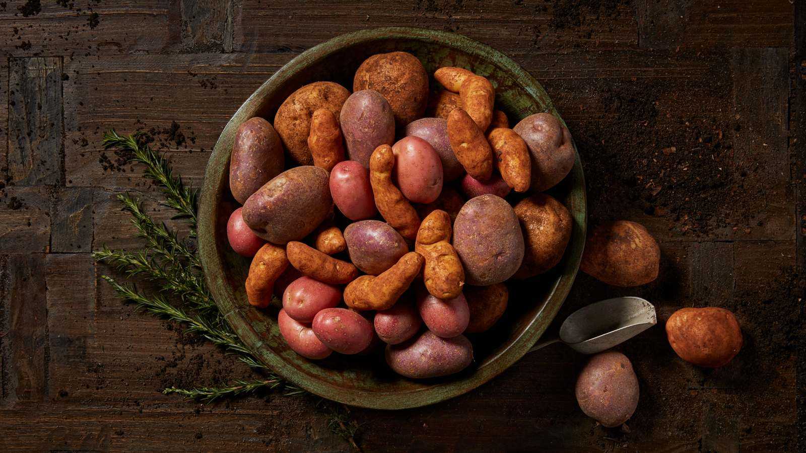 Types of Potatoes