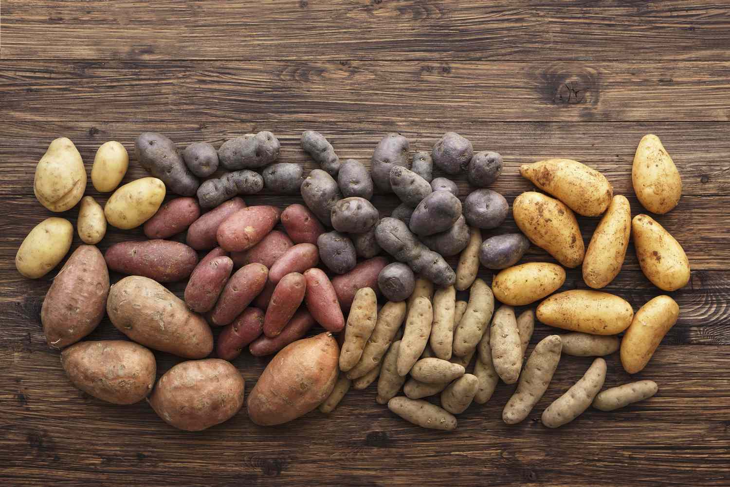 Image showing potato varieties.